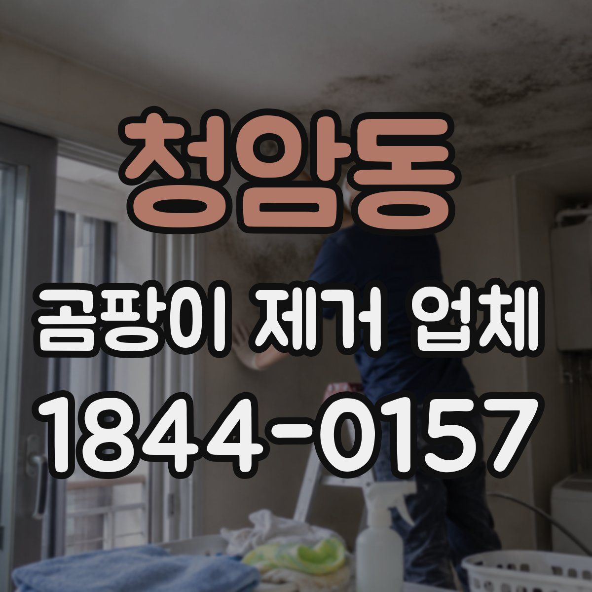청암동 곰팡이 제거 업체