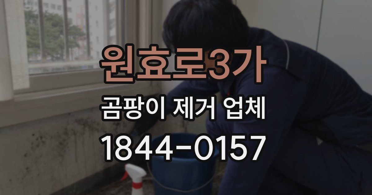 원효로3가 곰팡이 제거 업체