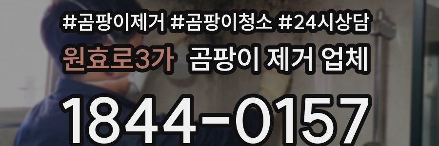 원효로3가 곰팡이 제거 업체