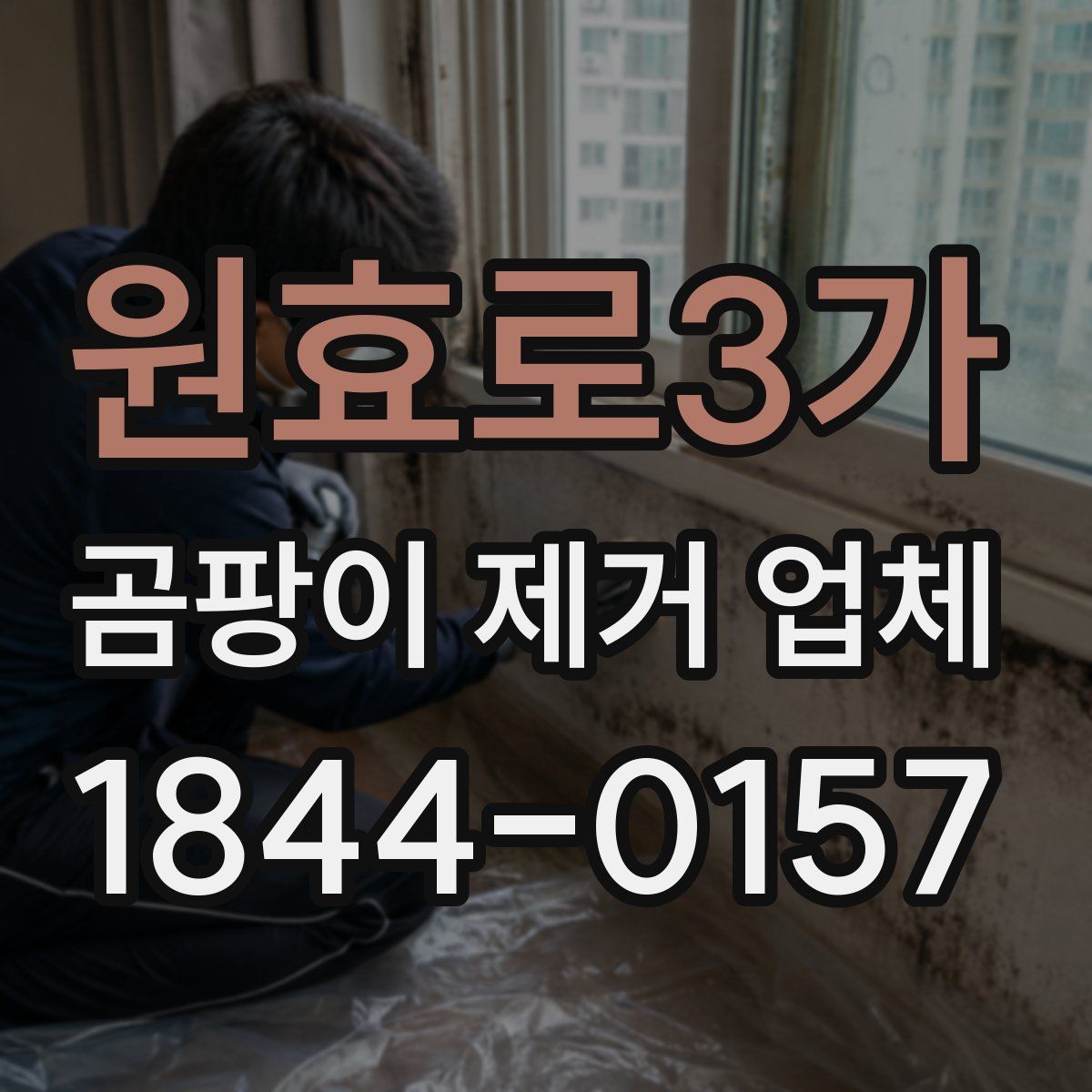 원효로3가 곰팡이 제거 업체
