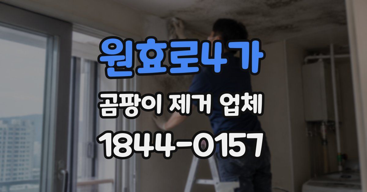 원효로4가 곰팡이 제거 업체