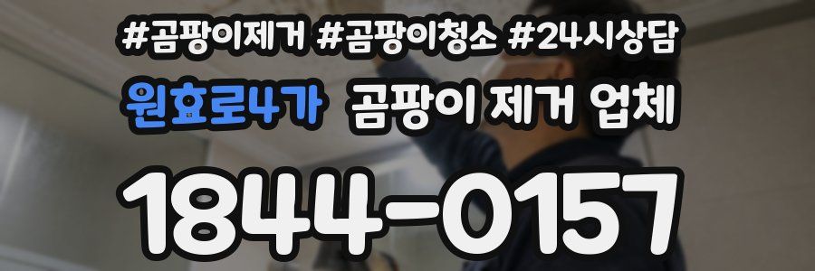 원효로4가 곰팡이 제거 업체