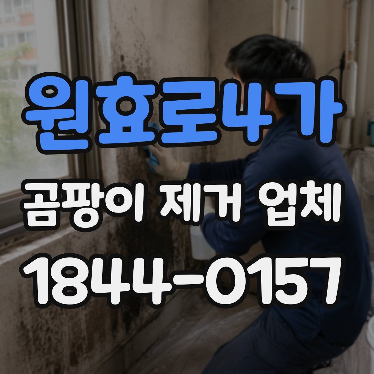 원효로4가 곰팡이 제거 업체