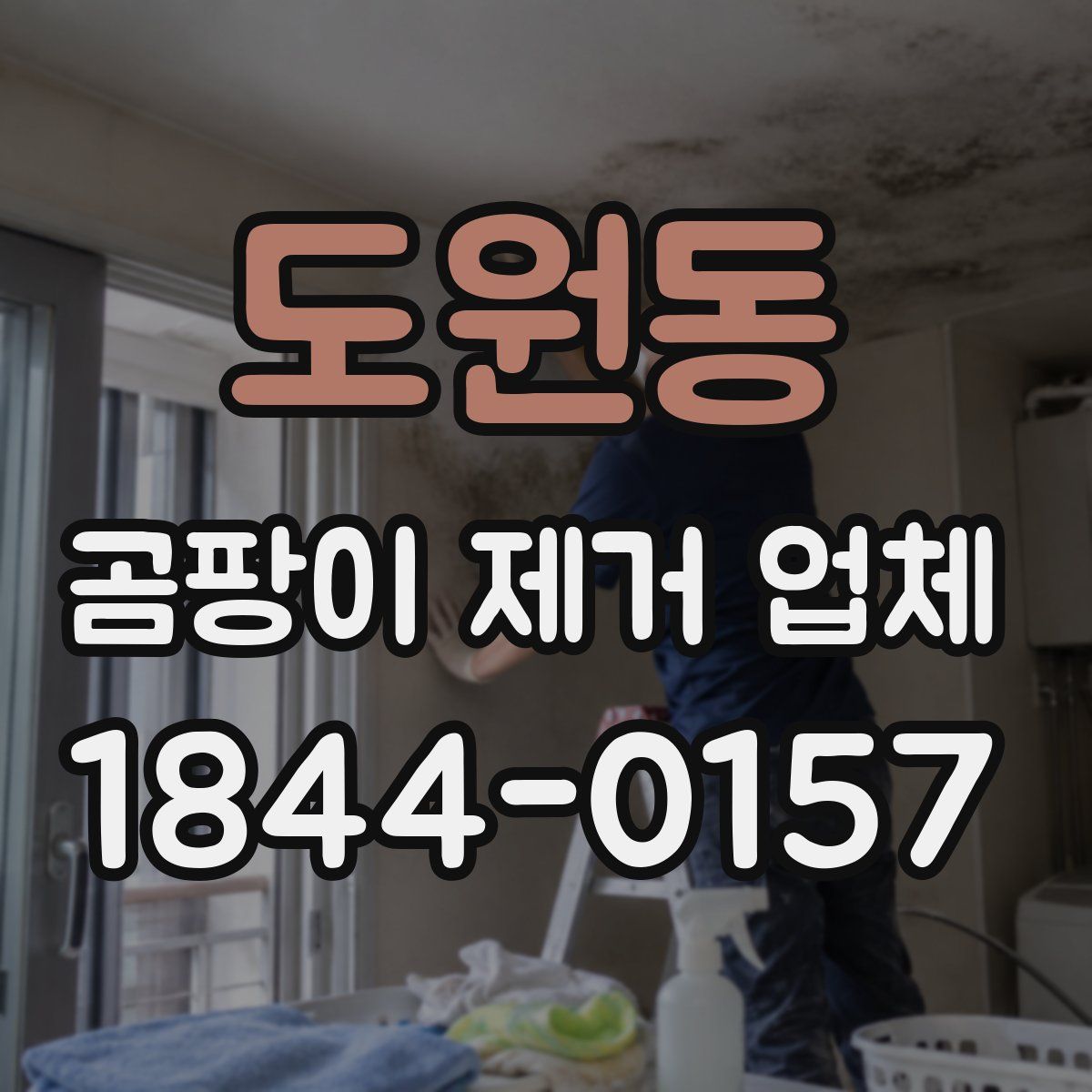 도원동 곰팡이 제거 업체