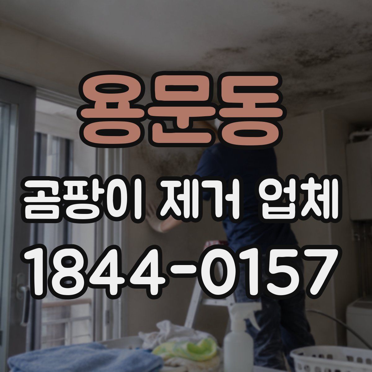 용문동 곰팡이 제거 업체