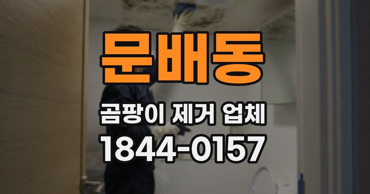 문배동 곰팡이 제거 업체