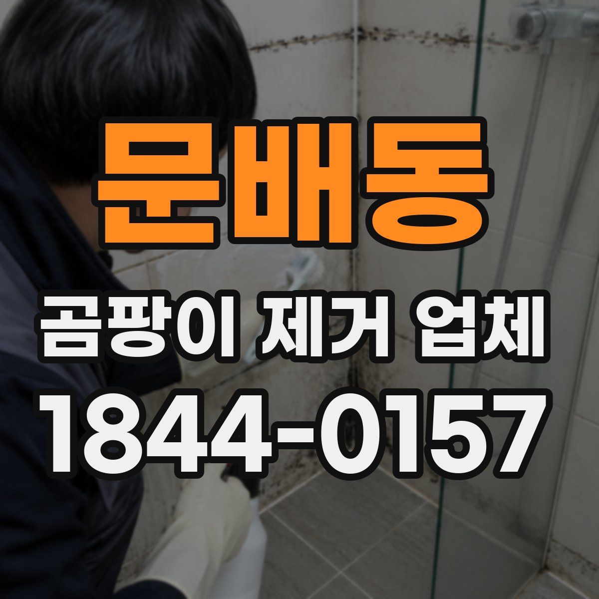 문배동 곰팡이 제거 업체