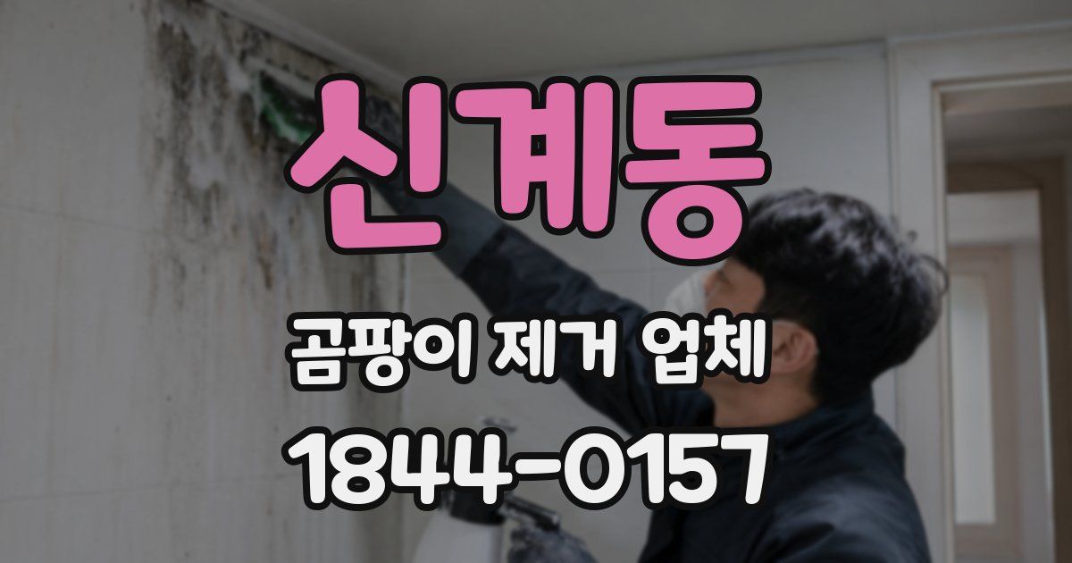 신계동 곰팡이 제거 업체