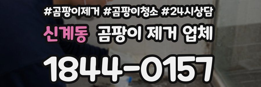 신계동 곰팡이 제거 업체