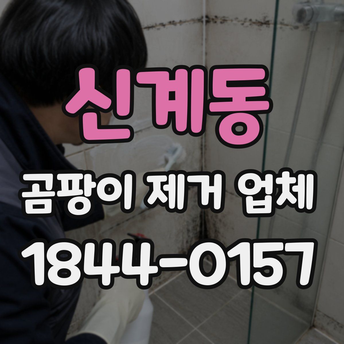 신계동 곰팡이 제거 업체