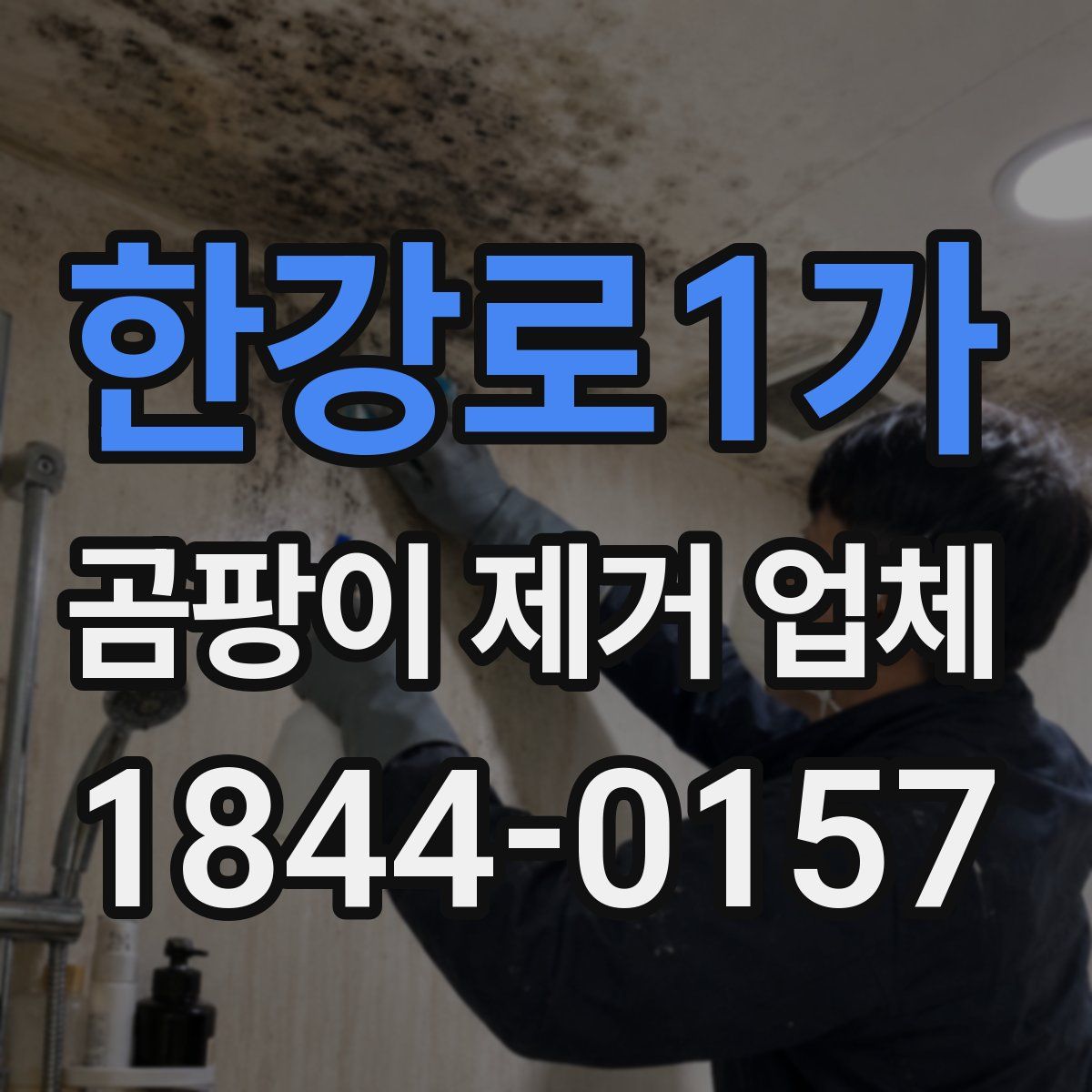 한강로1가 곰팡이 제거 업체