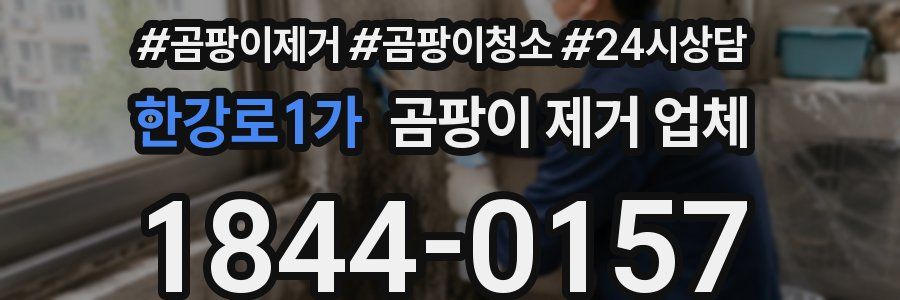 한강로1가 곰팡이 제거 업체