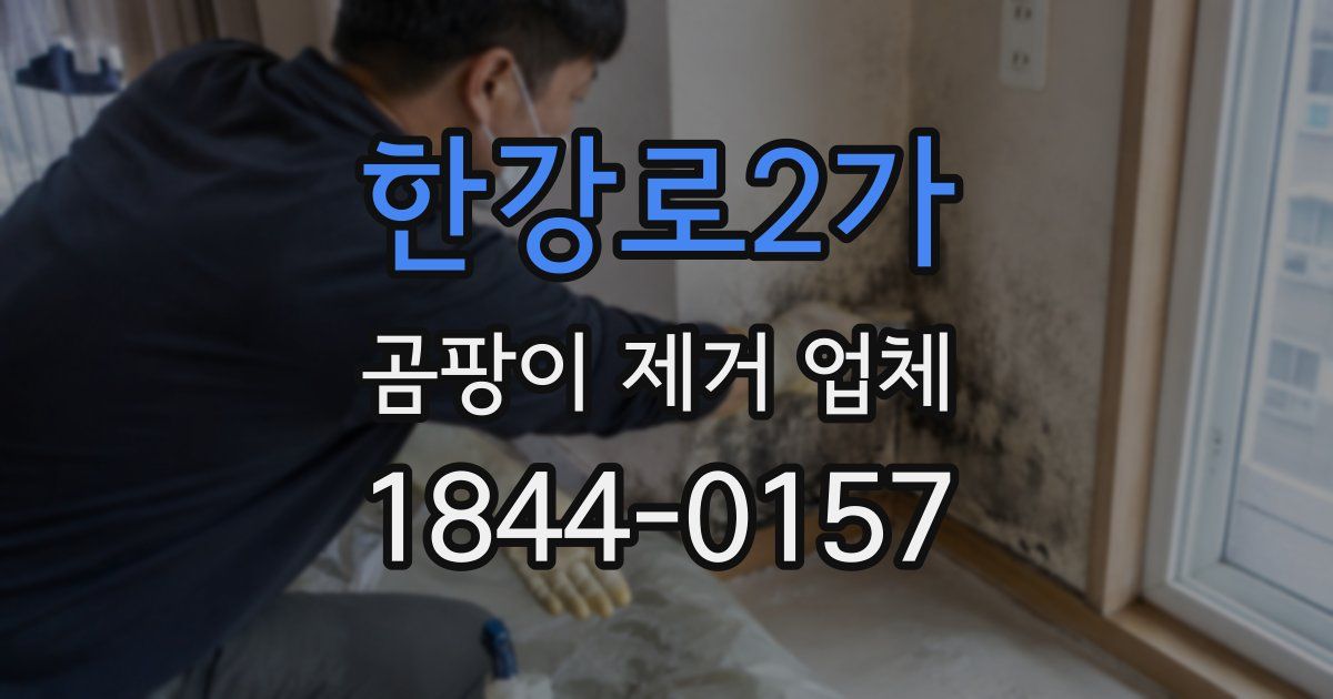 한강로2가 곰팡이 제거 업체