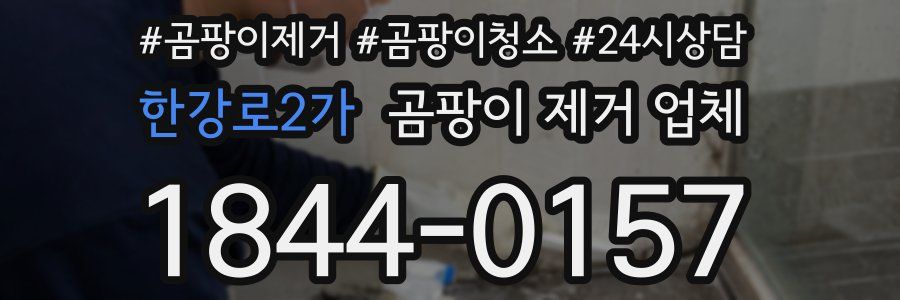 한강로2가 곰팡이 제거 업체