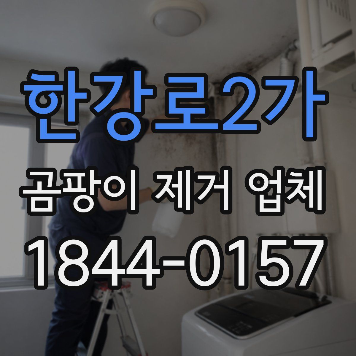 한강로2가 곰팡이 제거 업체