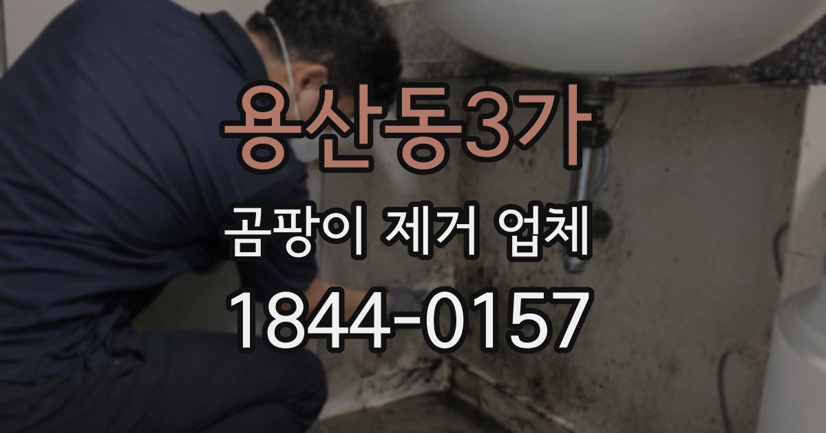 용산동3가 곰팡이 제거 업체