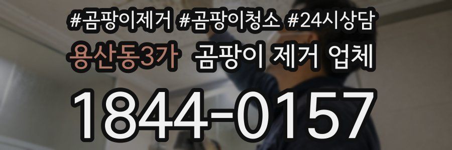 용산동3가 곰팡이 제거 업체