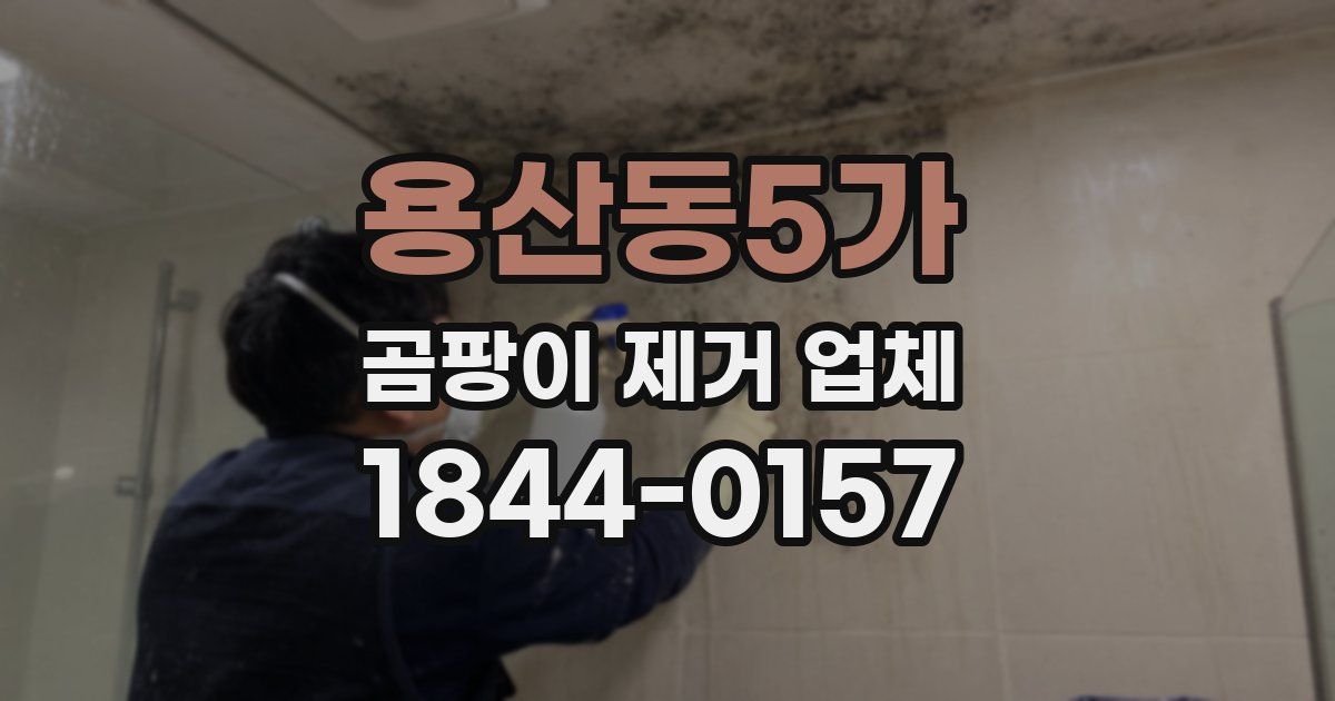 용산동5가 곰팡이 제거 업체