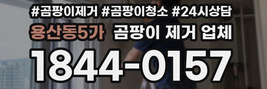 용산동5가 곰팡이 제거 업체