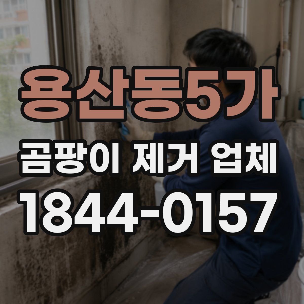 용산동5가 곰팡이 제거 업체