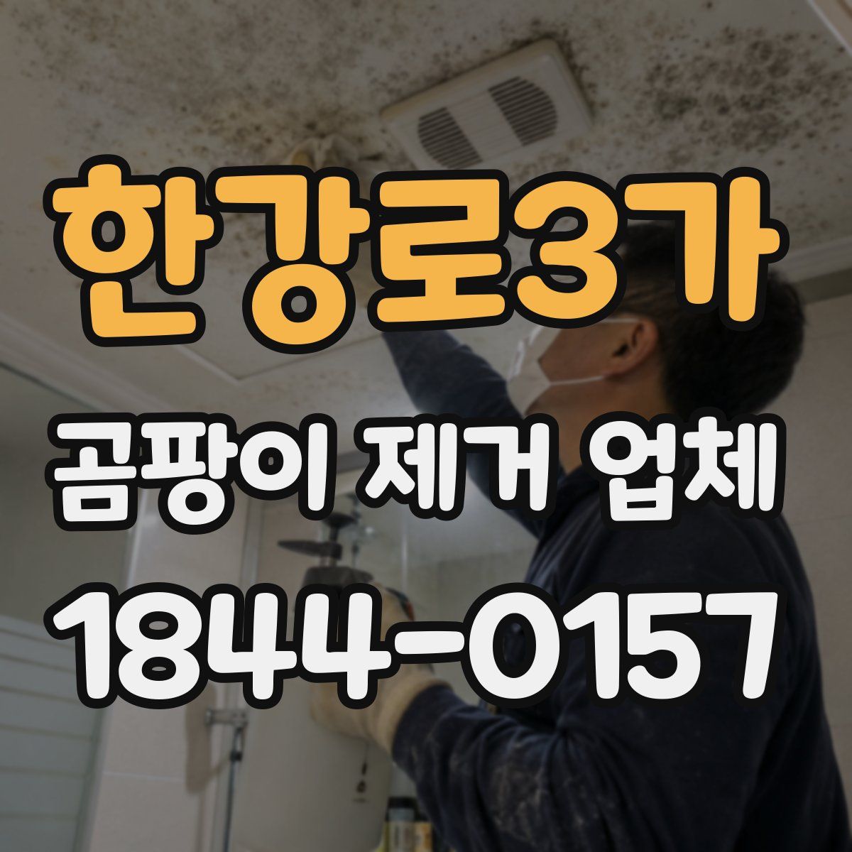 한강로3가 곰팡이 제거 업체
