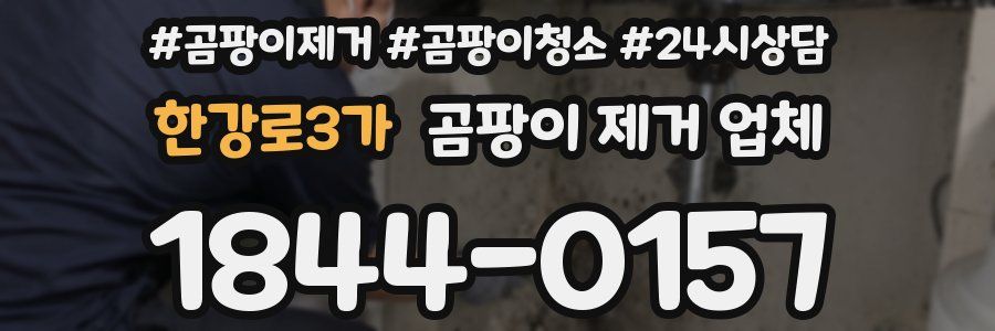 한강로3가 곰팡이 제거 업체