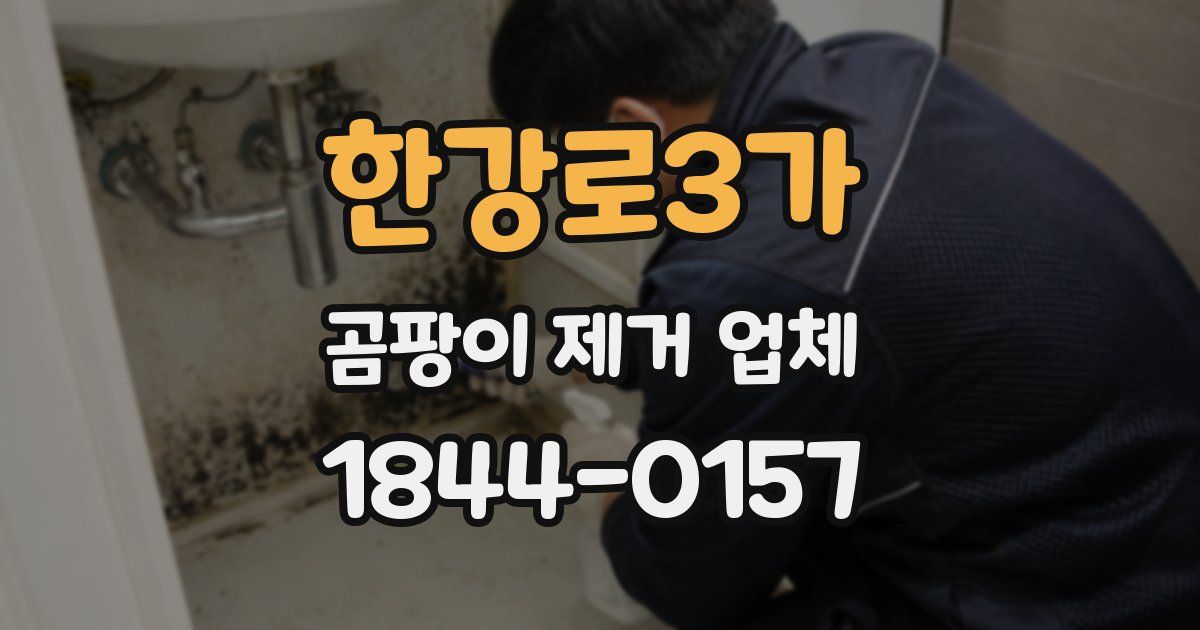 한강로3가 곰팡이 제거 업체