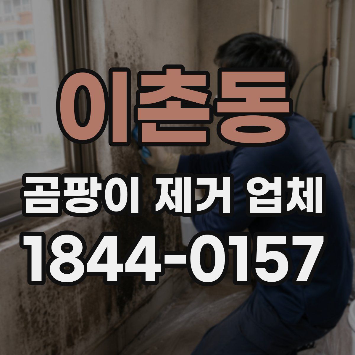 이촌동 곰팡이 제거 업체