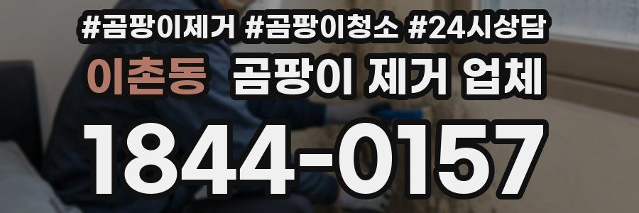 이촌동 곰팡이 제거 업체