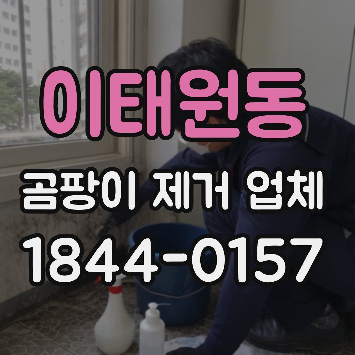이태원동 곰팡이 제거 업체