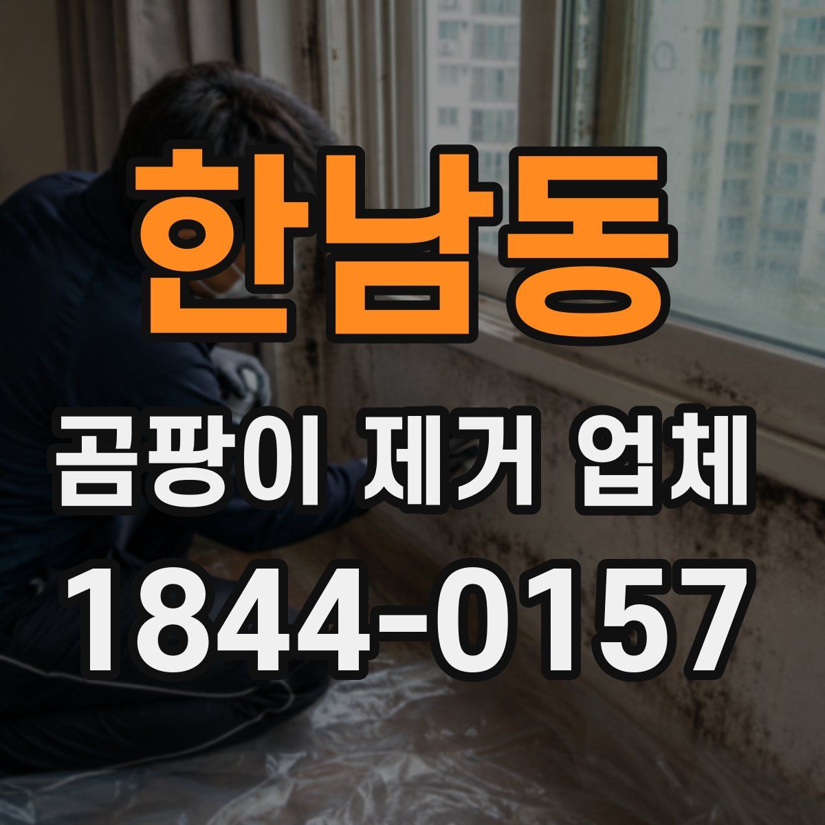 한남동 곰팡이 제거 업체