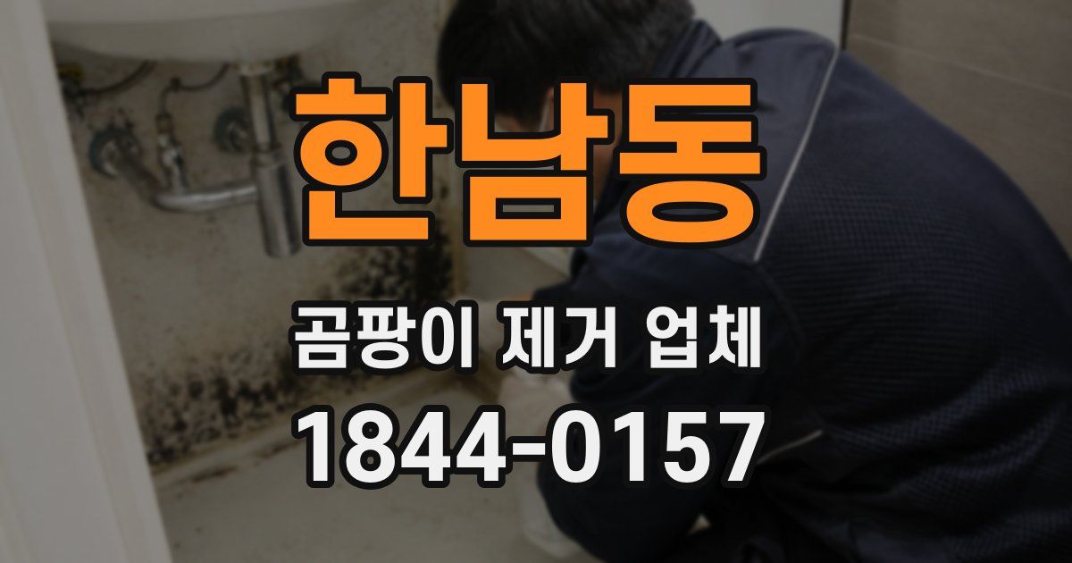 한남동 곰팡이 제거 업체