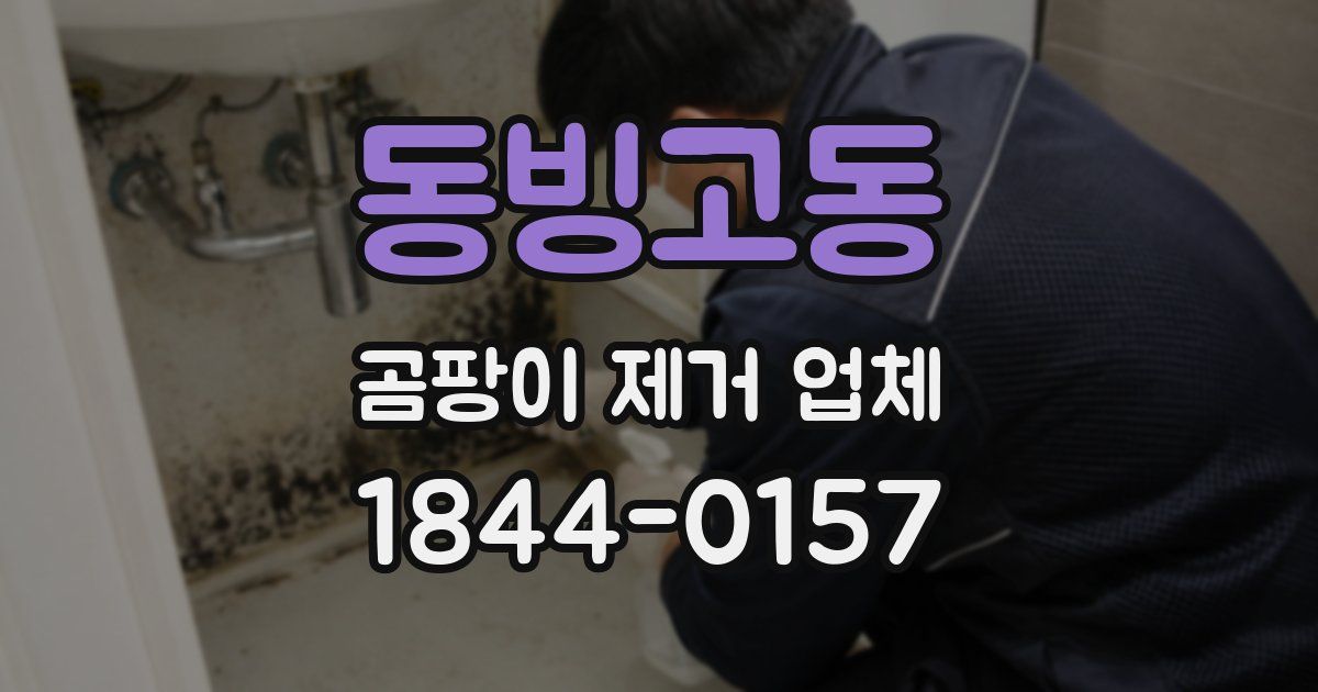 동빙고동 곰팡이 제거 업체