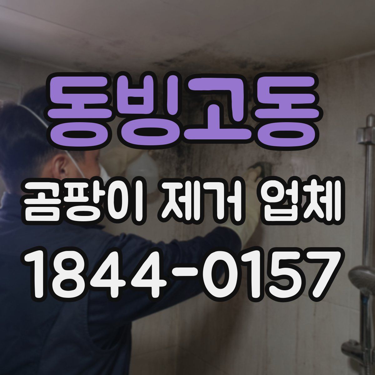 동빙고동 곰팡이 제거 업체