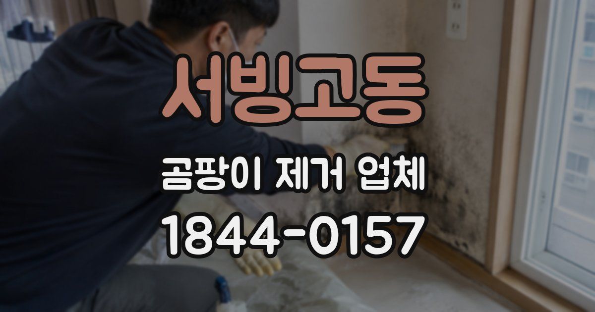 서빙고동 곰팡이 제거 업체