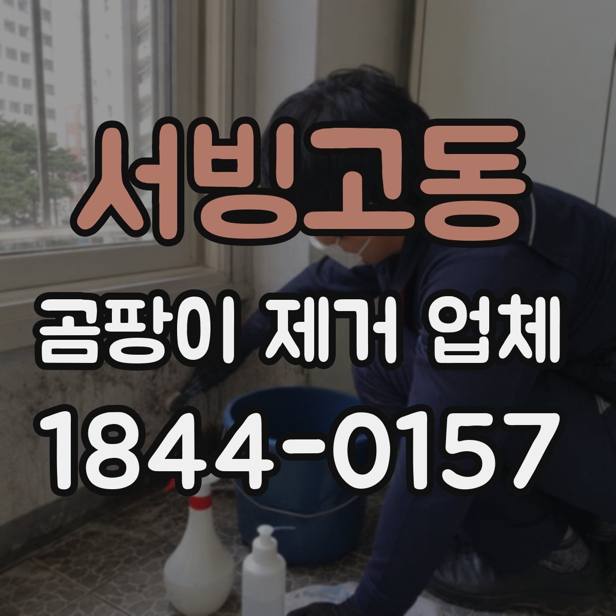 서빙고동 곰팡이 제거 업체