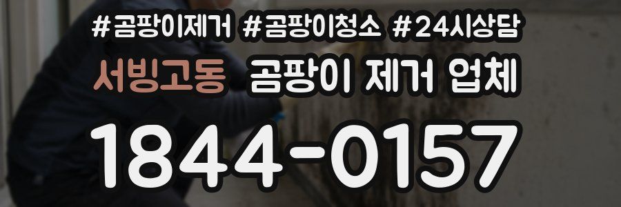 서빙고동 곰팡이 제거 업체