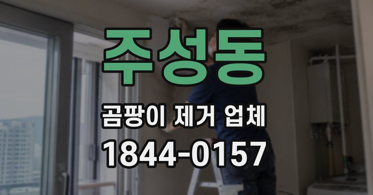주성동 곰팡이 제거 업체