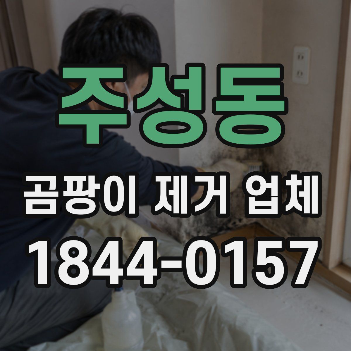 주성동 곰팡이 제거 업체