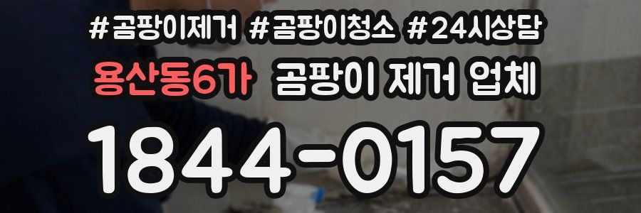용산동6가 곰팡이 제거 업체