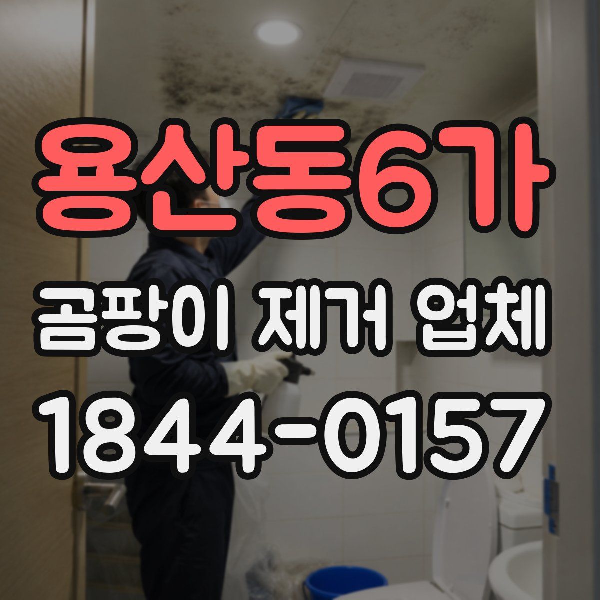용산동6가 곰팡이 제거 업체