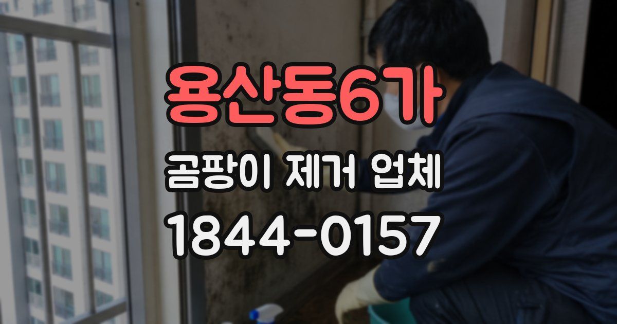 용산동6가 곰팡이 제거 업체