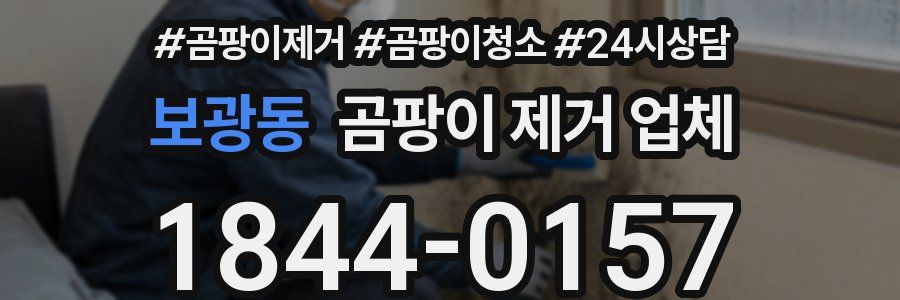 보광동 곰팡이 제거 업체