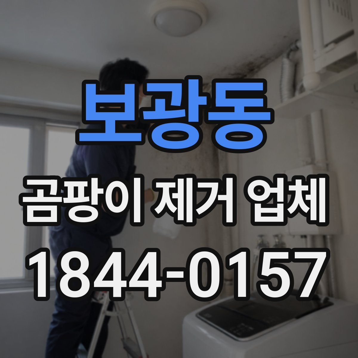 보광동 곰팡이 제거 업체
