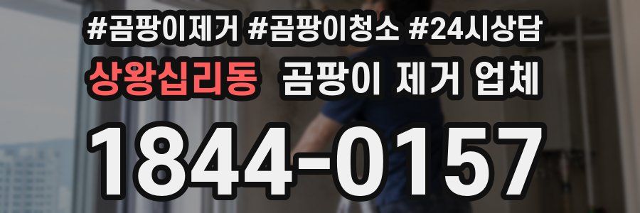 상왕십리동 곰팡이 제거 업체