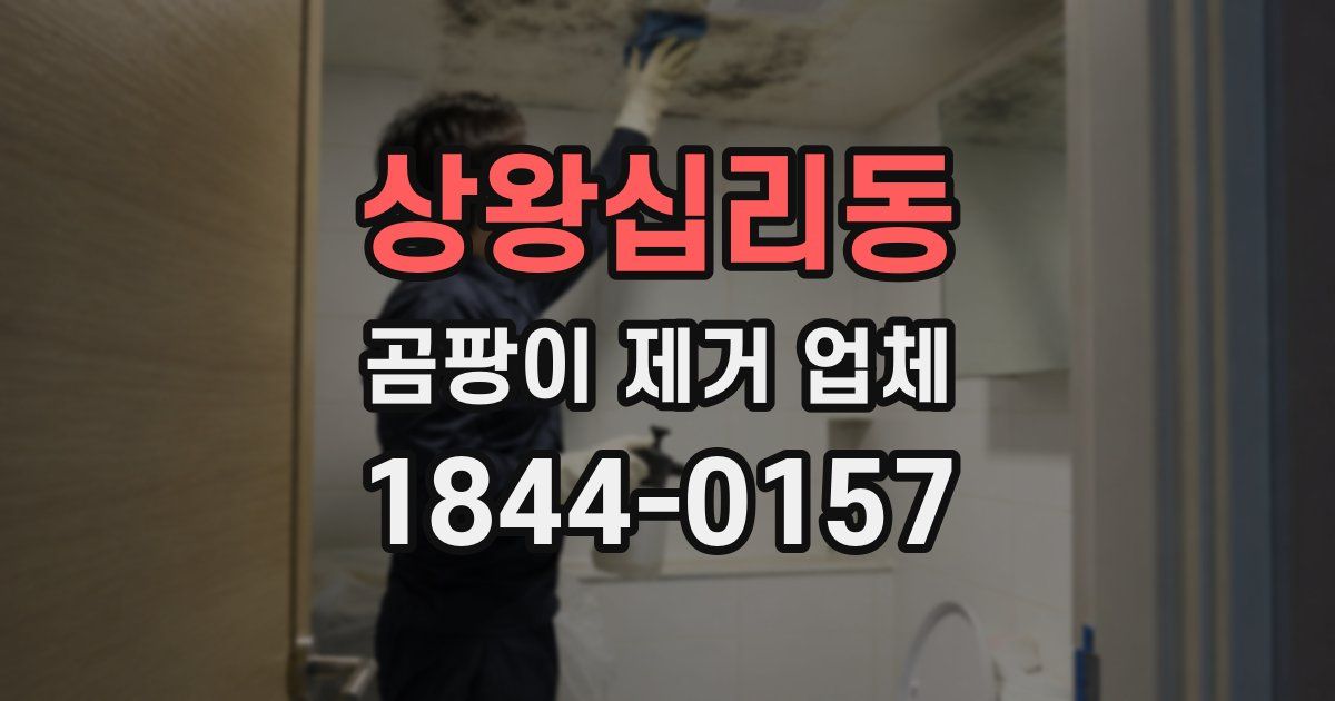 상왕십리동 곰팡이 제거 업체