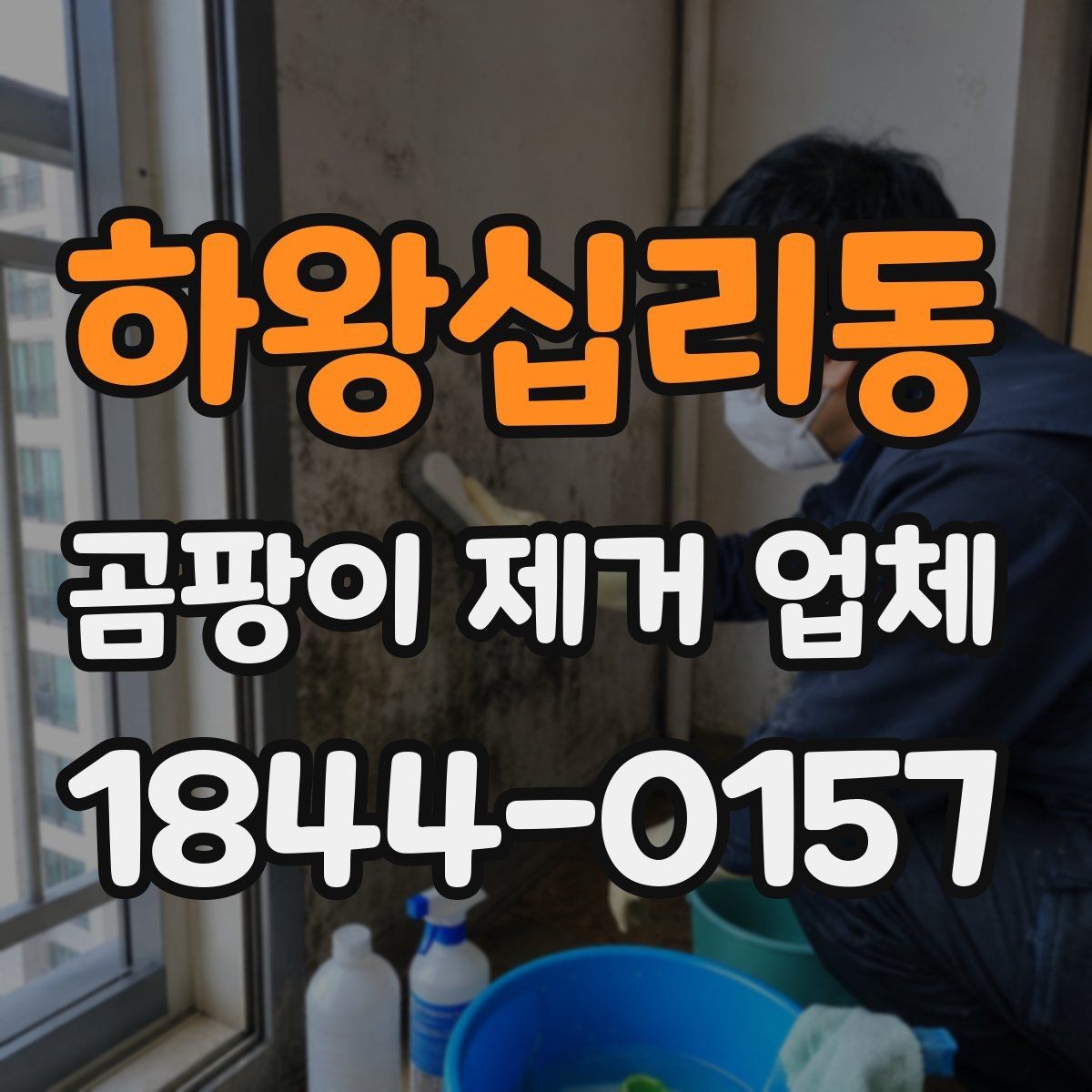 하왕십리동 곰팡이 제거 업체 제거 범위 산정 시 먼저 보는 점검 포인트