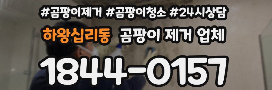 하왕십리동 곰팡이 제거 업체