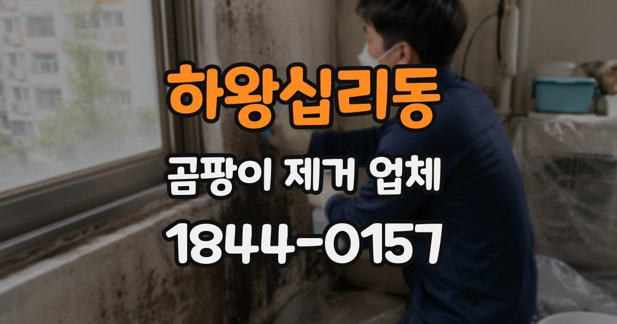 하왕십리동 곰팡이 제거 업체