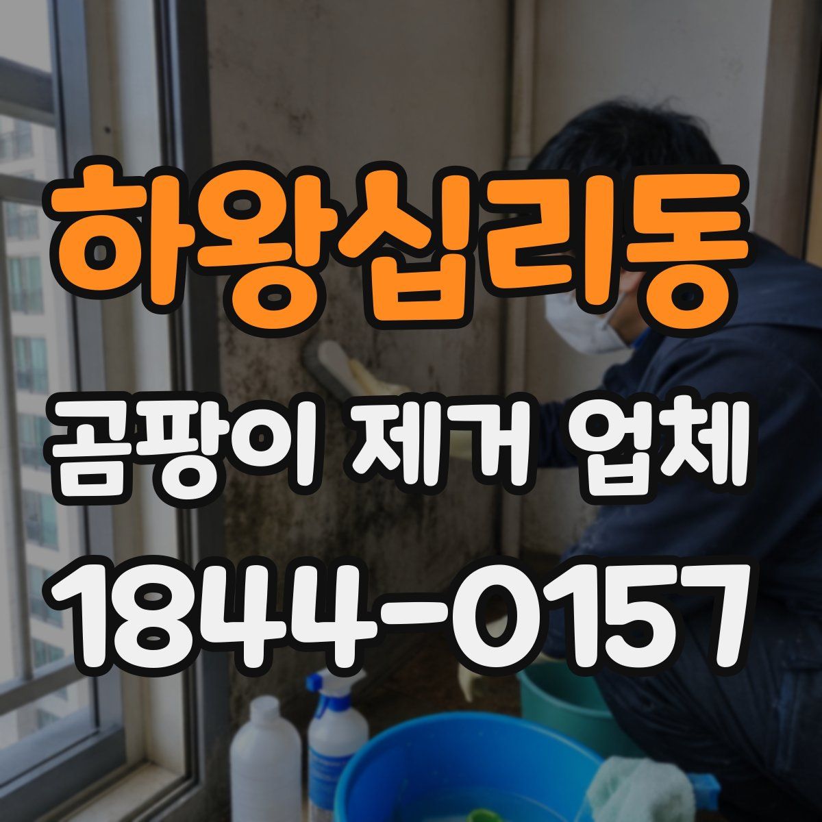 하왕십리동 곰팡이 제거 업체